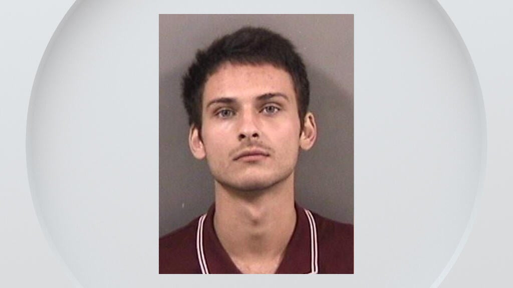 Suspect arrested in Berkeley hit-and-run that injured elderly tourists from Spain — CBS Bay Area (KPIX), Dublin Health news
