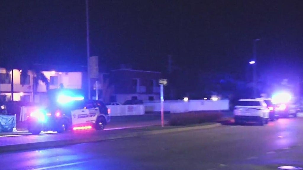 Woman accused of killing man in Dania Beach hit-and-run, BSO says — CBS Miami, Dublin Community news