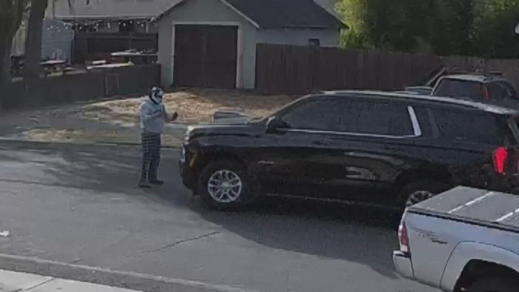 Woodland police dispute DHS account of ICE agent's collision with pedestrian — CBS Bay Area (KPIX), Dublin Health news