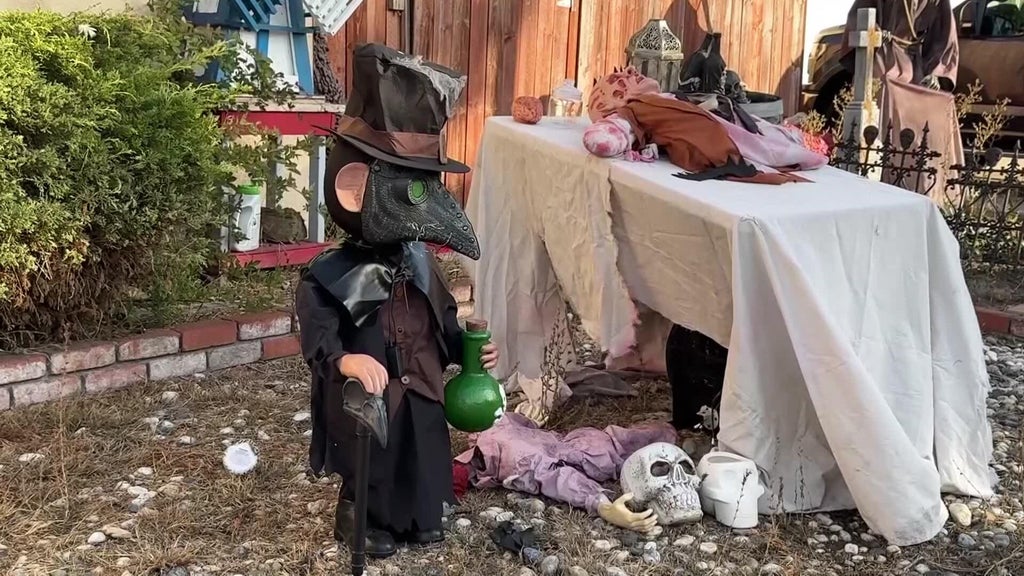 Halloween decorations worth roughly $700 stolen from San Leandro home — CBS Bay Area (KPIX), Dublin Schools news