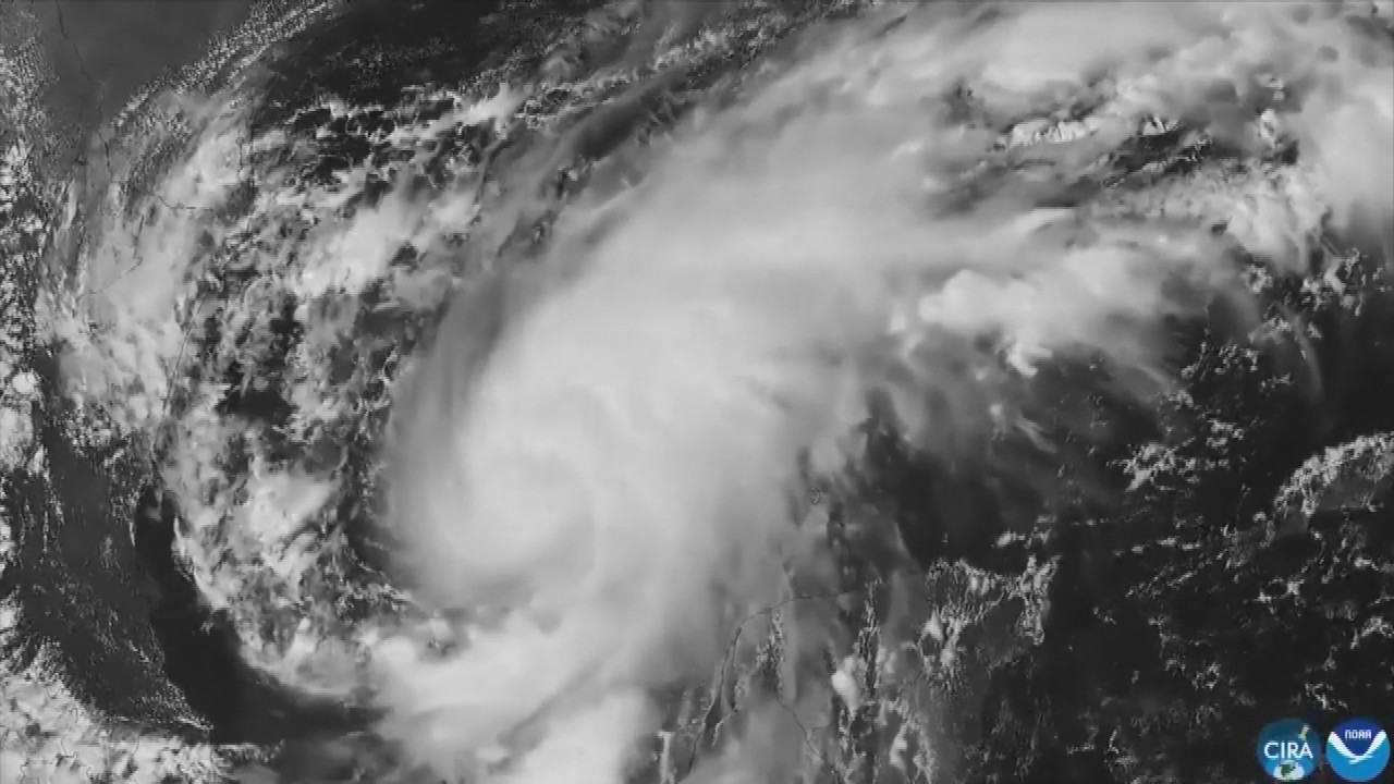 Hurricane Isaias: Residents board up windows and National Guard troops deploy as storm nears US Gulf Coast
— ABC 7 Bay Area, Dublin Sports news