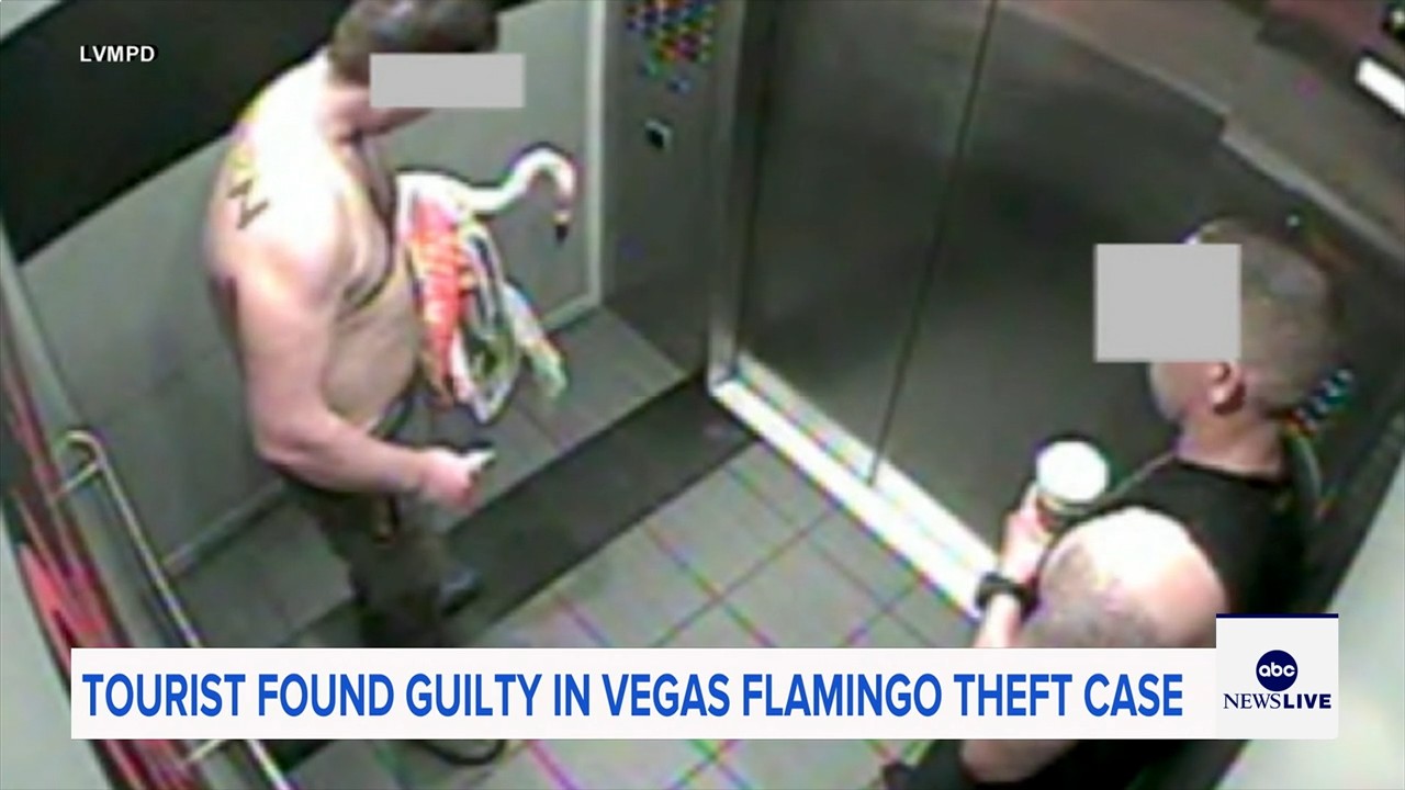 Man who snatched Peachy the flamingo from Las Vegas hotel exhibit found guilty of animal cruelty
— ABC 7 Bay Area, Dublin Arts news