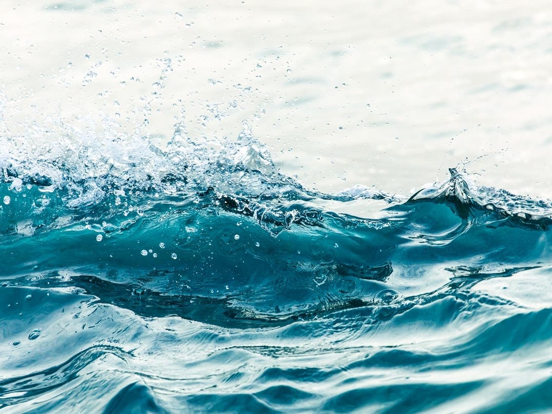 Swimmer Makes History To Protect Ocean + Girl Scout Helps People With Dementia: Saturday Smiles — San Francisco Patch, Dublin Schools news