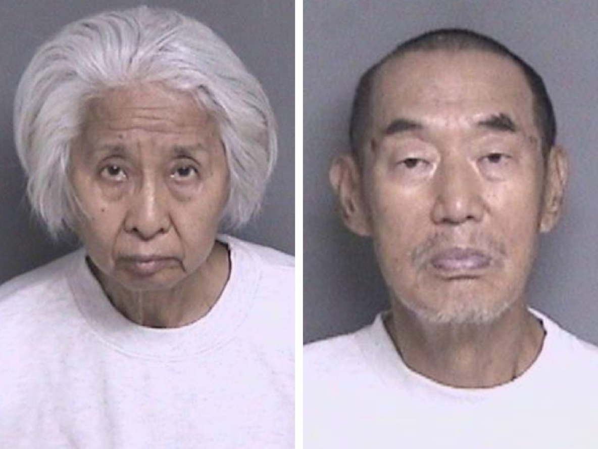 Elderly Couple Accused Of Killing Son-In-Law Feared Hit Man, Lawyer Says: Report — Dublin CA Patch, Dublin Community news