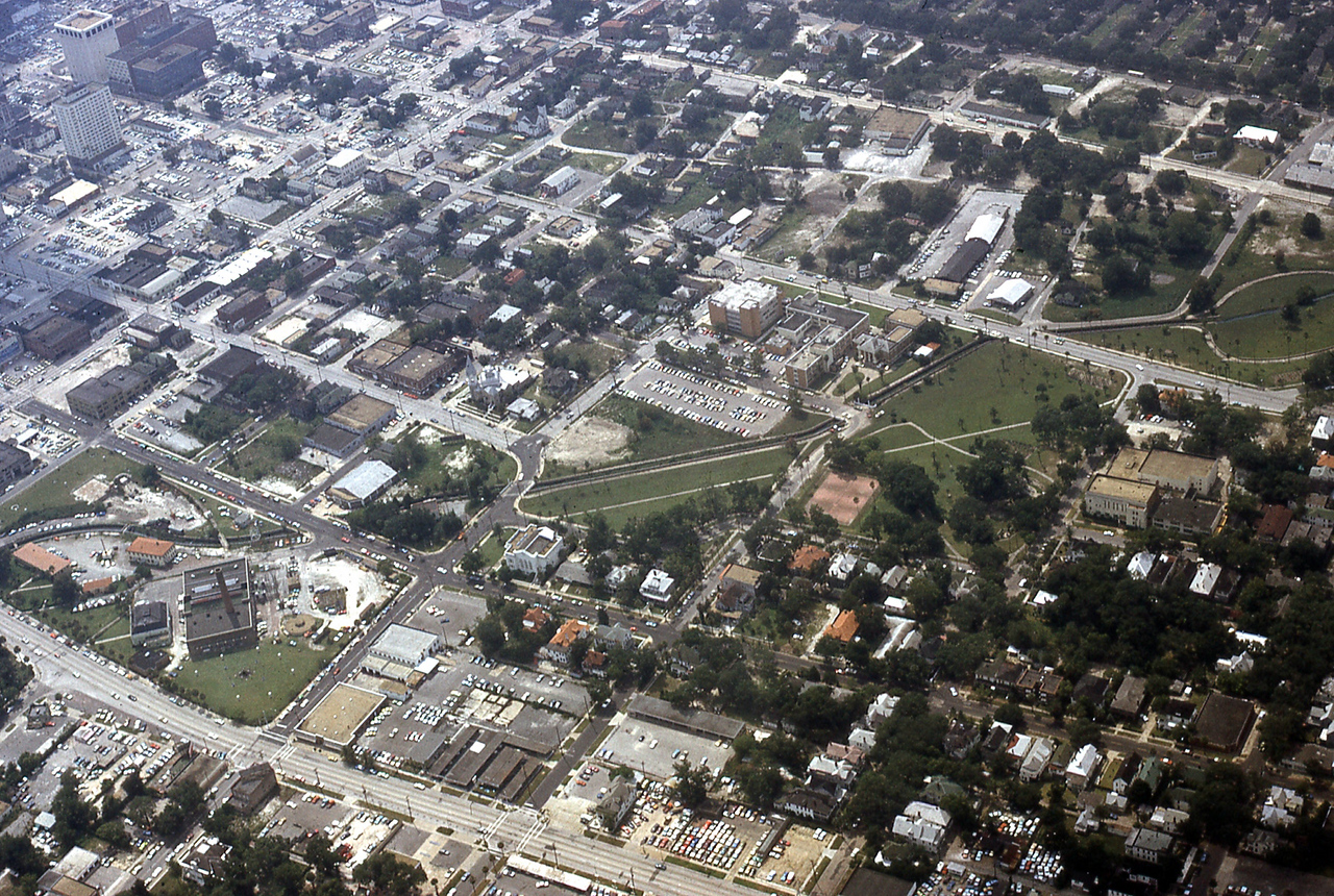 THE JAXSON | The oak tree that remembers Black Bottom — Jacksonville Today, Dublin Schools news