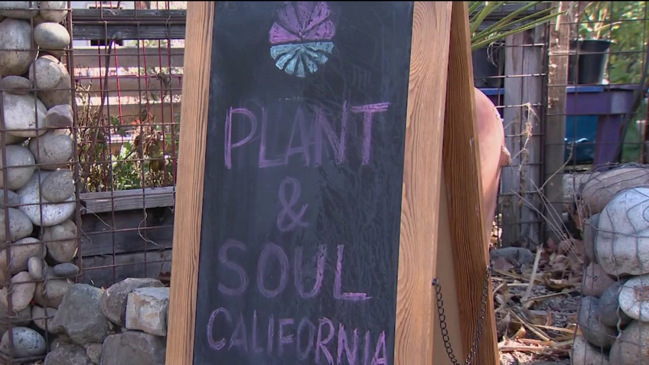 San Jose community garden faces possible eviction — KTVU FOX 2 Bay Area, Dublin Schools news