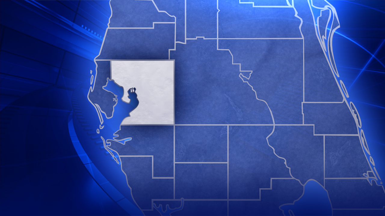 Hillsborough deadly crash: Jeep hits and kills 2 pedestrians crossing U.S. 301, FHP says — FOX 13 Tampa Bay News, Dublin Community news