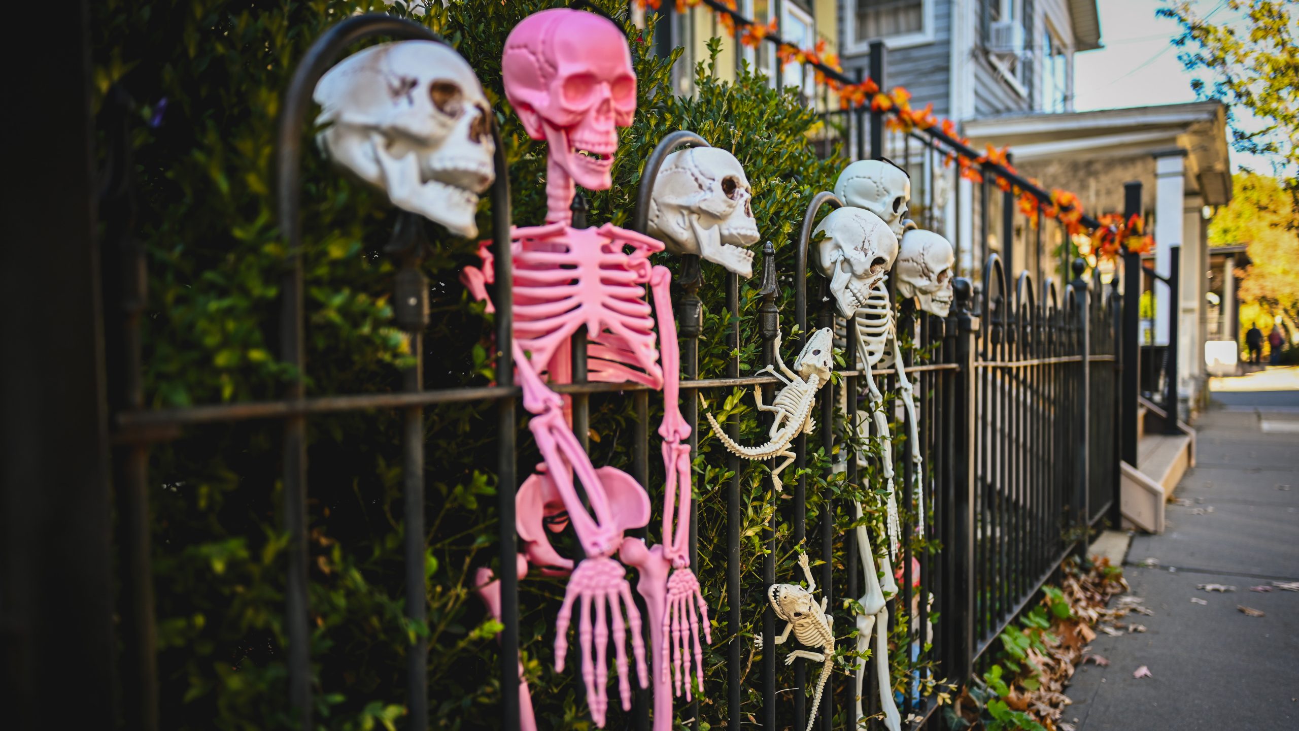 America's best cities for Halloween, ranked — KTVU FOX 2 Bay Area, Dublin Community news