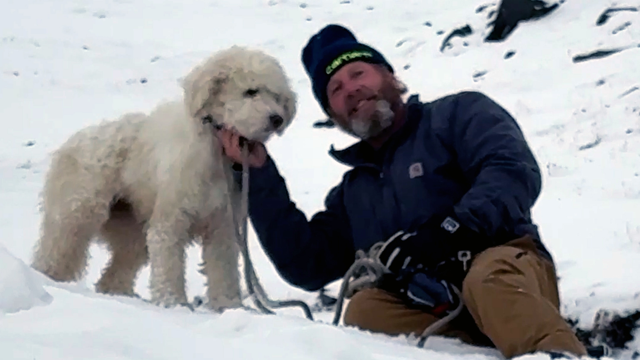 Watch: Dog lost in Alaska avalanche miraculously found 2 days later — KTVU FOX 2 Bay Area