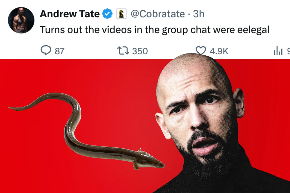 Andrew Tate is having an eel of a time with his animal porn allegations — Miami New Times